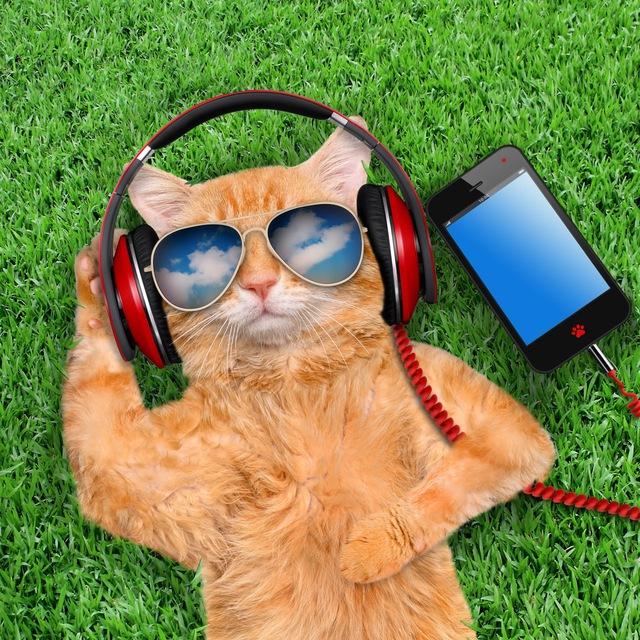 Descanse e Ouça Música! [FLAC]