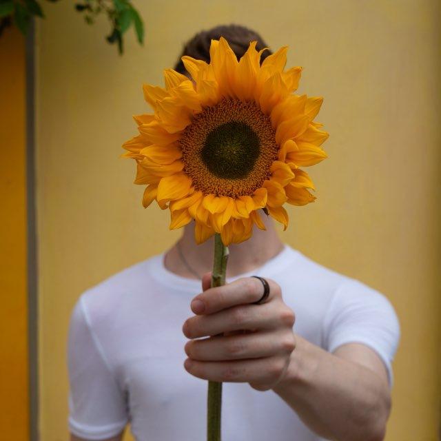serejamartynov