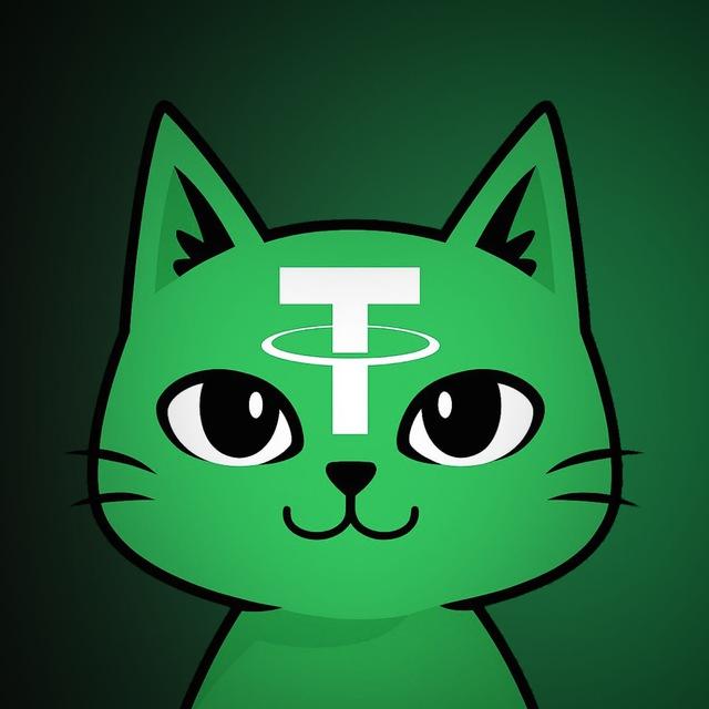 Flash USDT | TetheCat
