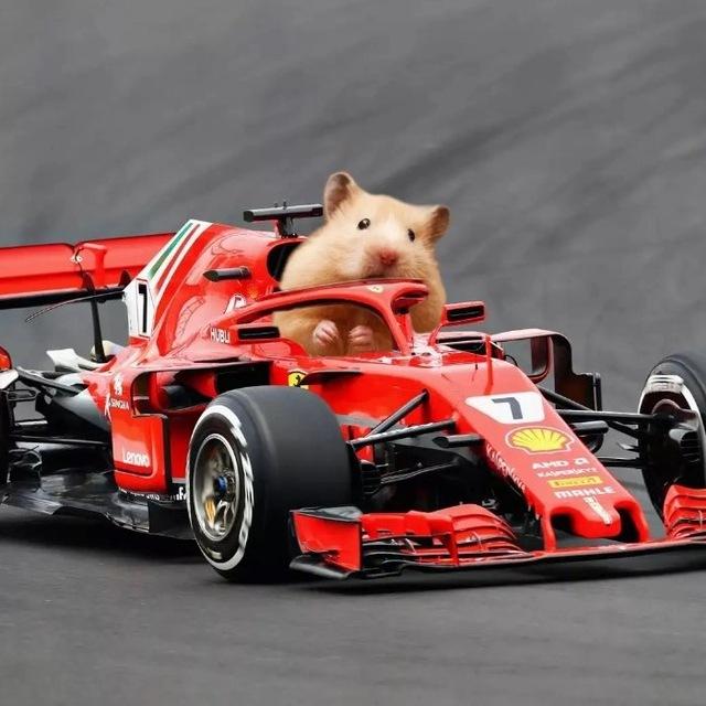 Serodji