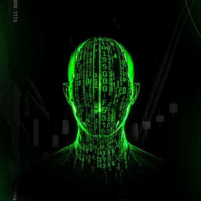 neo.usd