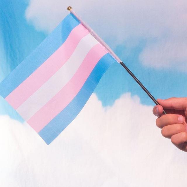 تعاسة الجندر - Gender Dysphoria