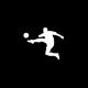 Goal Falcon