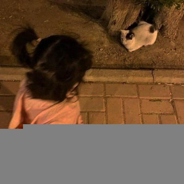 تکسام/حرفام