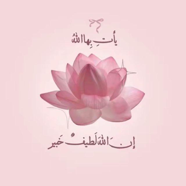 ستريكات✨.