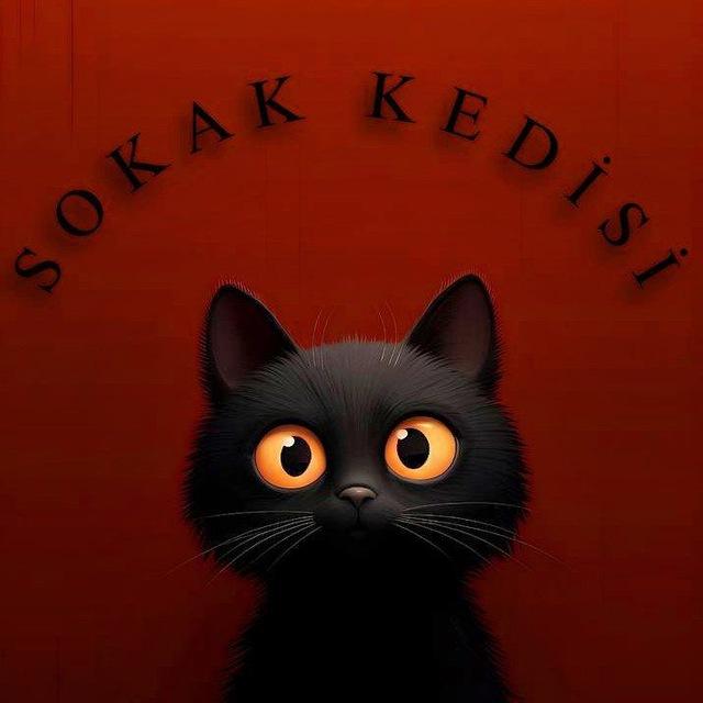 SOKAK KEDİSİ 🐈📖