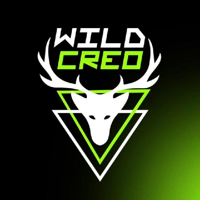 WILD CREO🦌| КРЕАТИВИ › VIDEO CREATIVES FOR ADS › WEB DESIGN › AFFILIATE › BANNERS › UGC › PLAYABLE