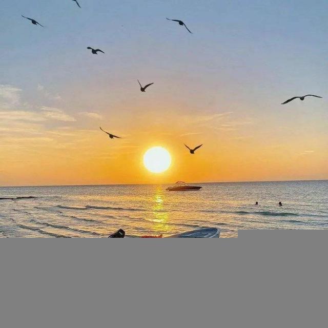 🌻 طبیعت زیبا "حس آرامش 🌻