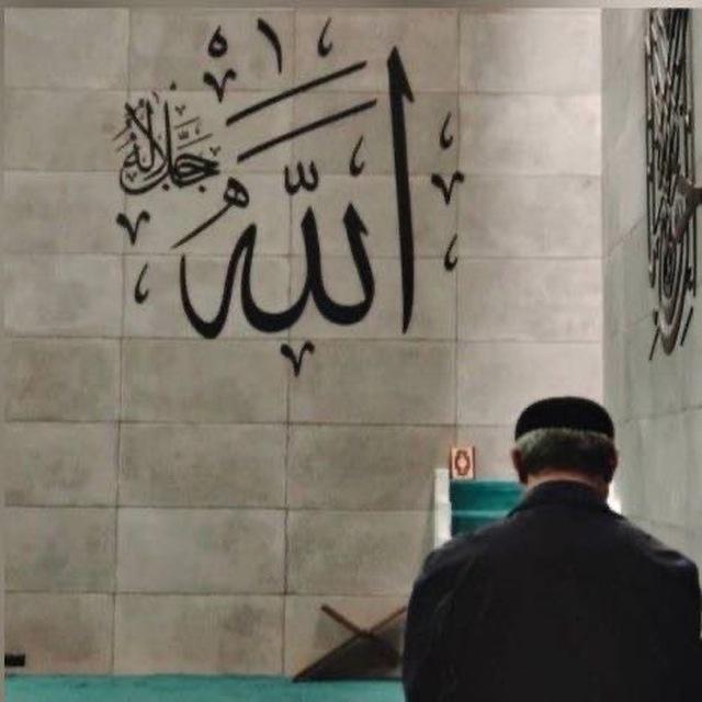 ﴿قُرآنًا عَرَبِيًّا غَيرَ ذي عِوَجٍ ﴾