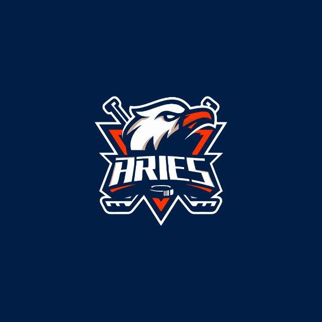 A R I E S Z N 🦅