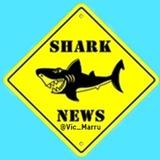 📰📈 SHARK NEWS 📉📆