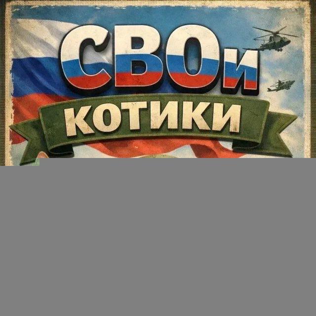 🇷🇺 СВОи котики 🇷🇺