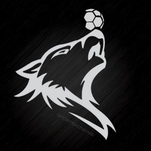 جام جهانی فوتبال Sport Bad News