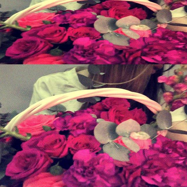 🖇️ Sanchous 💐