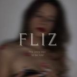 Fliz