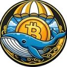 🟢Whale Finance Noticias
