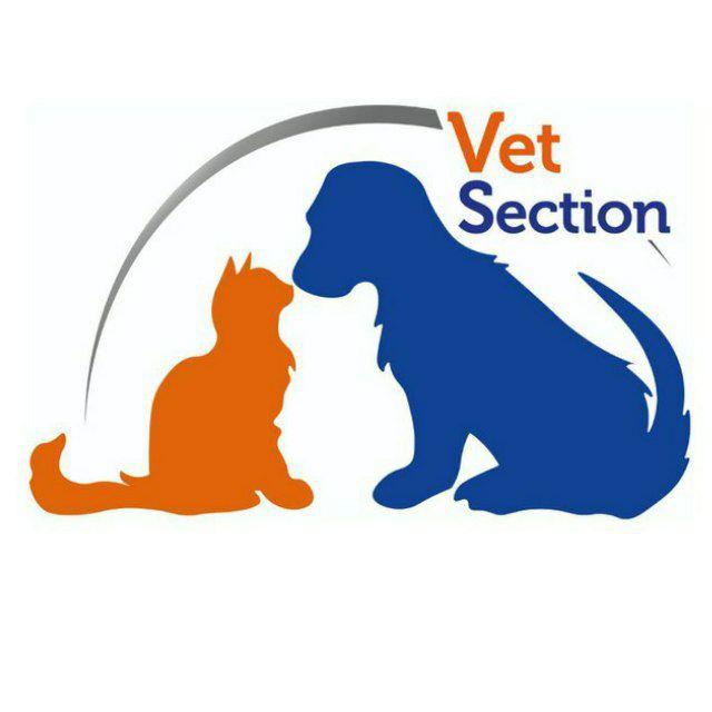 Vet_Section