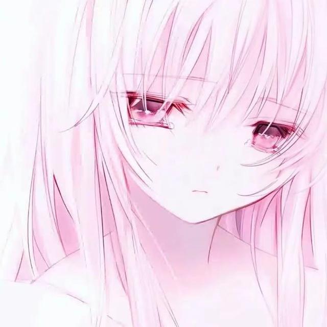 呆喵宝宝🍼（不付定金口嗨勿扰）