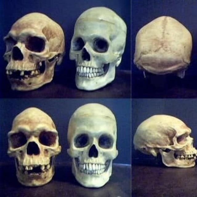 Racial Science