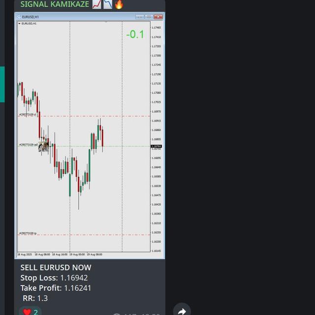 TDIGUY_TRADES 🥼