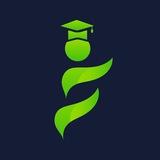 IDEAL IT Institute