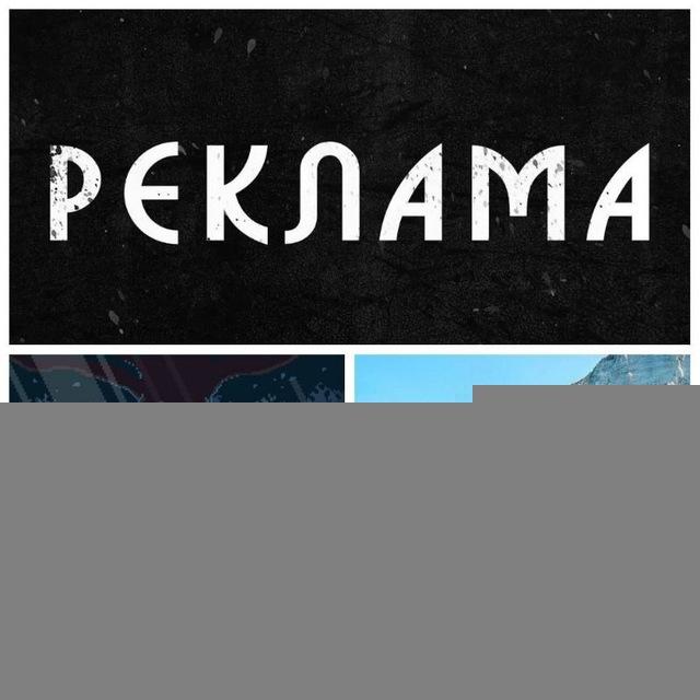 Все о чатах Hammy | Прайс | Реклама