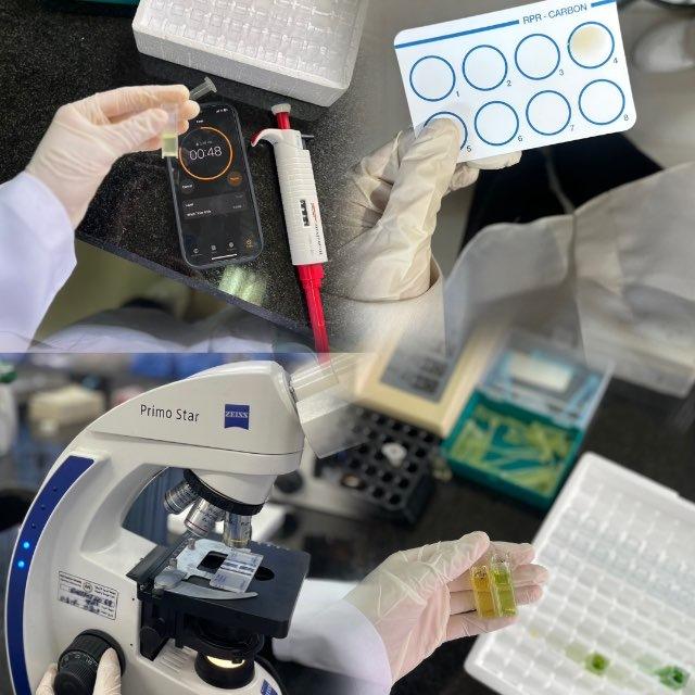 العُلوم الطبيّة المَخبريّة 🔬