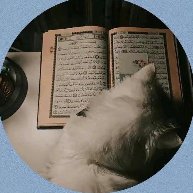 صَـدَقــةَ جــارِيــةَ 🤍