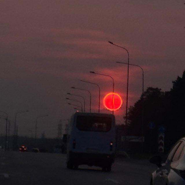 Чат Признание Пойковского
