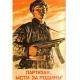 Партизаны за Родину