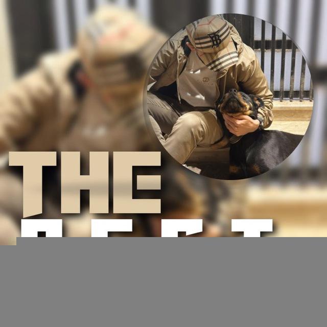 THE BEST ¦ 🝳