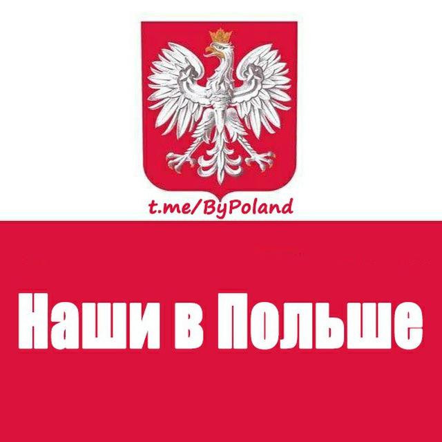 ЛЕГАЛЬНАЯ ПОЛЬША 🇵🇱 Live