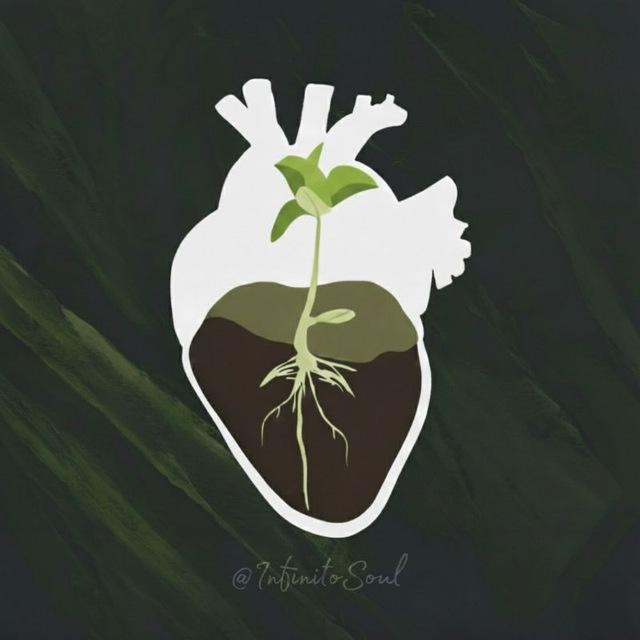 Infinito Soul 🌱 (موسیقی بیکلام)