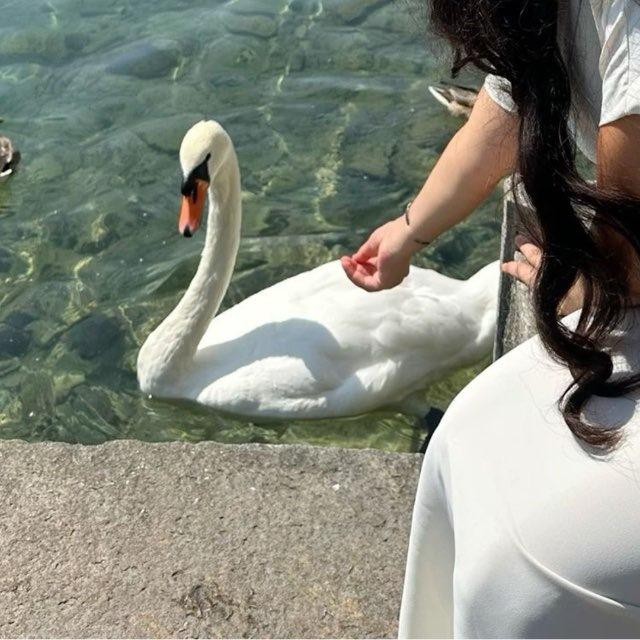 𝓘𝓵𝓱𝓪𝓶𝔃𝓪𝓭𝓮𝓮🦢