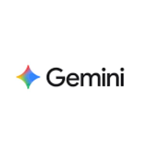 Gemini Pro 成品号