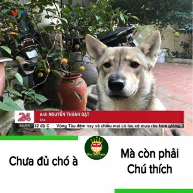 Kênh thông báo kèo ngon
