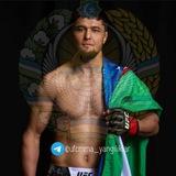 UFC | BOKS | MMA