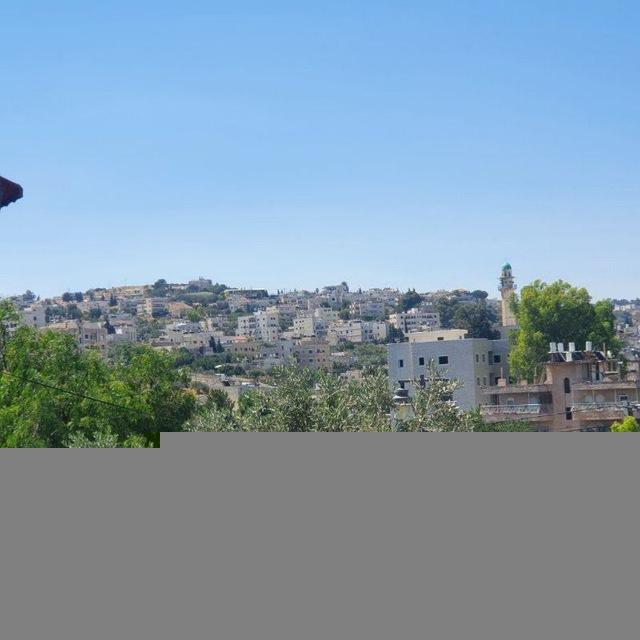 بيت صفافا الاخبارية