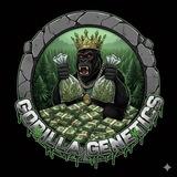 Gorilla Genetics