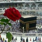 قُلْ هُوَ نَبَأٌ عَظِيمٌ.🌱