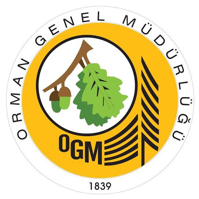 Orman Genel Müdürlüğü