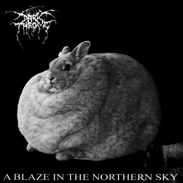 𝕰𝖇𝖚𝖈𝖍𝖞 𝕳𝖚𝖓𝖌𝖊𝖗 ||Punk/Rock/Metal Archive