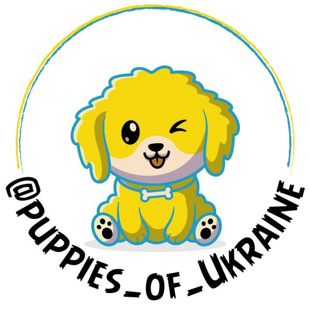❖ Щастя має лапки ❖