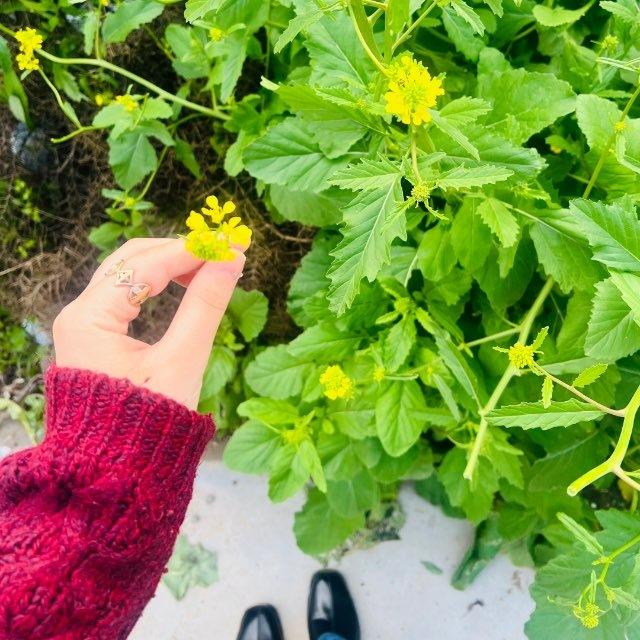 °•𝐹𝑎𝑑𝑤𝑎 🍒°•