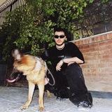 aliz fan