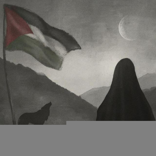nur niqab