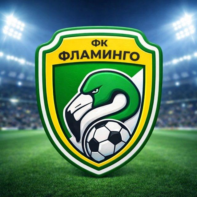 ⚽🦩MFC FLAMINGO KRASNOYARSK🦩⚽️