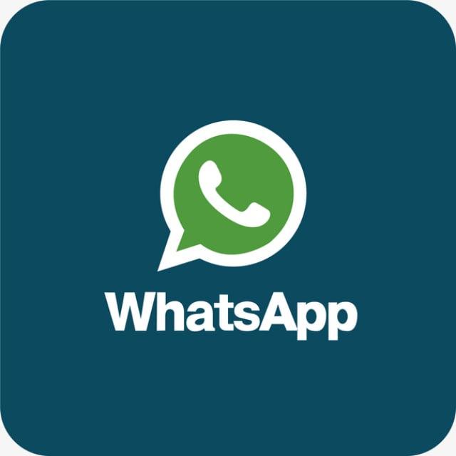 WhatsApp群发 ws群发 ins群发 fb群发 tk群发