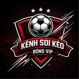 Kênh Soi Kèo Bóng Vip