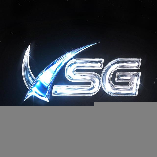 VSG
